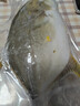 翔泰 海南金鲳鱼净重900g 2条装  年货节鱼类生鲜 火锅食材 海鲜水产  实拍图