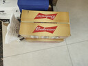 百威（Budweiser）经典纯生淡色拉格啤酒 500ml*18听整箱装 新年送礼 实拍图