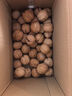 西域美农新疆温宿185纸皮核桃1.6Kg(赠核桃夹）无防腐浸泡送礼孕妇零食 实拍图