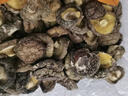 富昌 香菇干200g 小香菇 山珍蘑菇 煲汤材料 火锅食材 实拍图