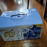 蒙牛真果粒蓝莓味牛奶饮品250g*12盒 小黄鸭IP 礼盒新老包装 含乳饮料 实拍图