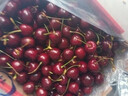 京溢鲜智利进口车厘子【JD/顺丰-多地次日达】4J级新鲜樱桃水果送礼物盒 5斤(净重) 【送礼装】店长推荐 特大果2J级 单果28-30mm 实拍图