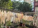 婧麒（JOYNCLEON）婴儿连体衣春秋无骨衣服春装空调服纯棉春款长袖和尚服外出服 樱桃小镇+桃子兔 52cm 实拍图