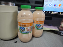 李子园【成毅代言】甜牛奶乳饮料哈密瓜味225ml*20瓶早餐奶过年送礼黑五 实拍图