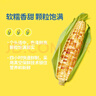 华田禾邦【新玉米】云南香糯小玉米2斤 新鲜甜黏玉米粒棒苞米 早餐代餐 实拍图