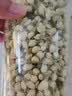 优卓2026特级横县特一级新鲜干花可食用茉莉花中药材浓香型开茶包叶 100克茉莉花(无硫新货) 100g*1罐 实拍图