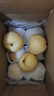 京鲜生 精选砀山梨老树酥梨5斤 单果重250-400g 水果 实拍图