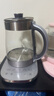 苏泊尔（SUPOR）养生壶 烧水壶 电水壶 煮茶器 热水壶 玻璃花茶壶 316L不锈钢恒温2L 保温煮茶壶SW-20YQ69 实拍图