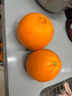 京觅秭归脐橙纽荷尔橙子净重7斤霸王橙单果300g+新鲜水果源头直发包邮 实拍图