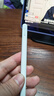 Apple/苹果 Pencil Pro 磁吸触控笔手写笔苹果笔电容笔书写绘画ipad笔 适用于iPad Pro/Air/mini机型 实拍图