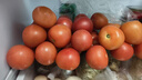 正宗攀枝花沙瓤西红柿露天生吃粉果番茄新鲜采摘非普罗旺斯西红柿 净重小果【50-80克】 5斤 实拍图