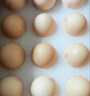 京鲜生 无抗保洁鲜鸡蛋30枚/盒 健康轻食 礼盒送礼 1.5kg/盒 源头直发 实拍图