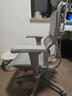 Ergonor保友金豪b雄鹰 人体工学椅 电脑椅 电竞椅办公椅子可躺老板椅 【金豪b雄鹰X】银白网 实拍图