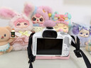 佳能（Canon）佳能r50 入门微单相机 小痰盂人像镜头 Vlog拍摄 4K高清视频 自拍照相 学生旅行家用 扫街旅拍套装 实拍图