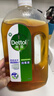 滴露（Dettol）消毒液洗衣衣物消毒水750mL 除螨杀菌春节大扫除 灭杀甲流感 非84 实拍图