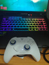 飞智冰原狼4多模版无线游戏手柄 类xbox 力调节摇杆双切扳机 switch电脑PC手机steam体感NS 丝之歌 实拍图