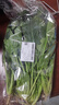 大菠菜300g 实拍图