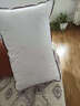 水星家纺枕头枕芯酒店枕头护颈枕头芯家用单个纯棉抗菌可水洗低枕48x74cm 实拍图