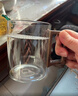 忆壶茶玻璃茶杯月牙过滤茶具泡茶杯加厚耐高温家用办公水杯 实拍图