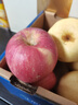 京鲜生 陕西洛川苹果红富士12粒 单果180-220g 生鲜水果 实拍图