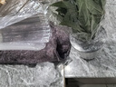 花翁奇趣发财树苔藓球水培植物办公室内桌面好养耐活造型绿植源头直发 实拍图