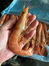 禧美海产 冷冻阿根廷红虾净重4斤/盒 L2规格 46-54只(大号)烧烤 海鲜水产 实拍图