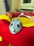 田园顽狗猫狗玩具自嗨解闷神器遥控自动逗狗猫咪老鼠暴走小黄人电动逗猫棒 充电毛绒老鼠【智能休眠启停】 玩具 实拍图