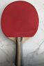 红双喜（DHS） SH横直对拍初学者训练比赛乒乓球拍横直套装01 实拍图