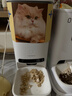 霍曼（Homerun）AI智能宠物自动喂食器视频版猫猫咪喂食定时定量可视陶瓷碗 64G卡 实拍图
