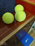 ENPEX乐士三只装网球 业余娱乐练习款 实拍图