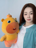多爱（Duoai）  正版水豚噜噜公仔毛绒卡皮巴拉玩偶超大号送女友生日礼物情人节 呆呆 45cm 送女孩女友道歉礼物送女生男生 实拍图