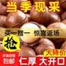 夏威夷果带壳送开口器奶油味休闲食品坚果干果每日坚果 【当季新货】夏威夷果250g*1袋（18-21mm） 实拍图