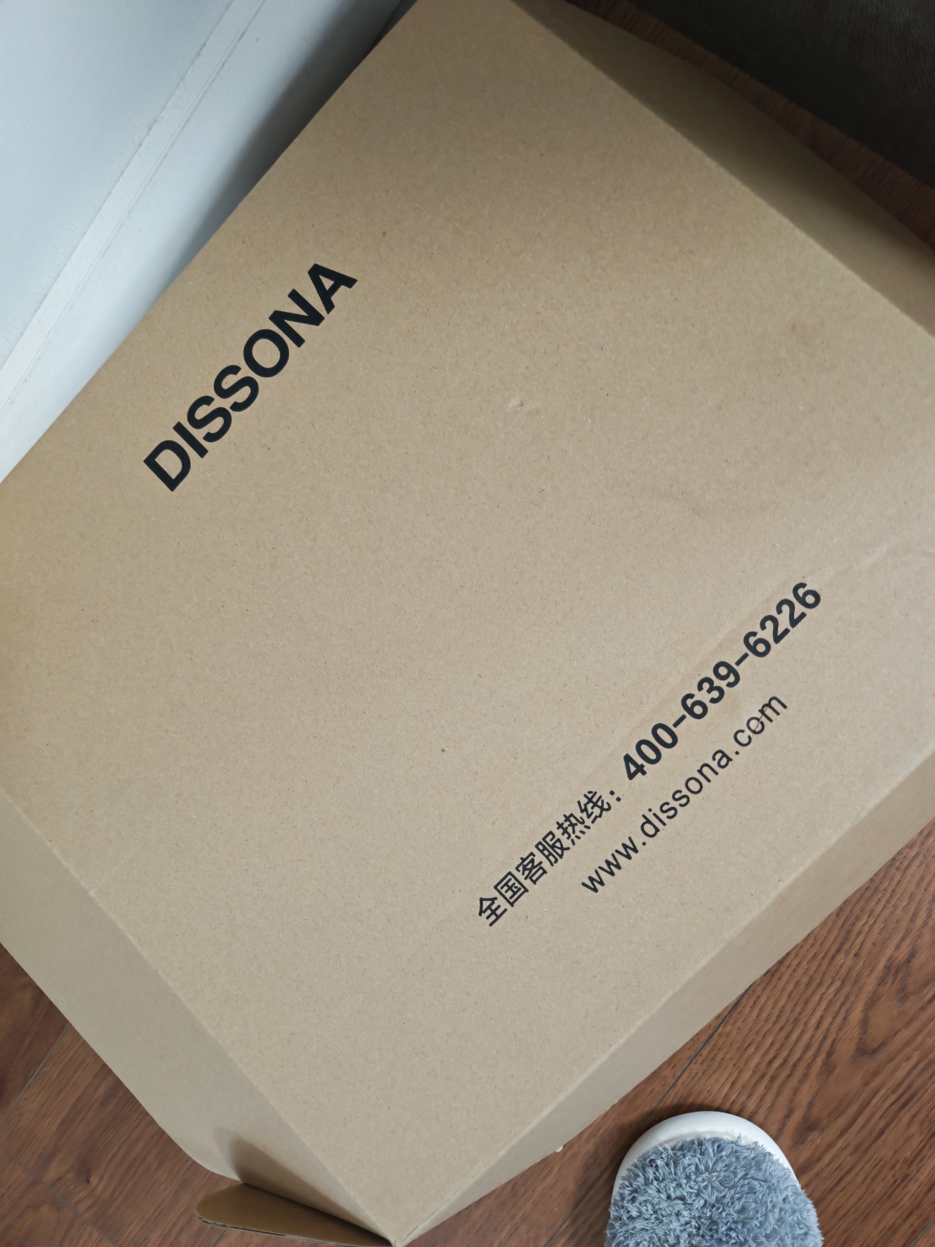 DISSONA迪桑娜女包单肩包大容量斜挎包牛皮凯莉包 生日礼物 白色 实拍图