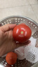 京喜加正宗沙瓤西红柿水果番茄自然熟新鲜蔬菜生鲜减肥单果80g起 山东沙瓤西红柿 5.7斤 净重 实拍图