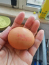德青源PLUS联名款A+级鲜鸡蛋32枚2.74斤无抗生素 源头直发 1件包邮 实拍图