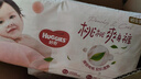 好奇（Huggies）铂金装小桃裤纸尿裤XL96片(12-17kg)加大号尿不湿透【透爽散热】 实拍图