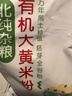 北纯 有机大黄米粉3斤/袋（油炸糕粘豆包面杂粮面粉黍米面糯黄米粉） 实拍图