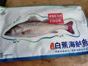 仙泉湖三去斑点尾鲈鱼1斤单条净膛后冷冻肉厚刺少 海鲜水产生鲜食材年货 实拍图