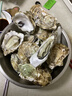 贝司令 鲜活乳山生态生蚝2XL 净重4斤 13-17只生鲜源头直发年货送礼 实拍图