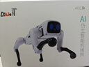 盈佳售20万智能ai机器狗rc遥控车机器人儿童玩具男女孩生日新年礼物 实拍图