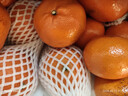 京鲜生 四川爱媛果冻橙 净重10斤 单果150g起 生鲜水果礼盒春节也送货  实拍图