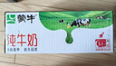 蒙牛全脂纯牛奶200ml*24盒 家庭年货囤货 电商定制 实拍图