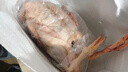 温氏 广东农养番鸭净重4斤 冷冻生鲜鸭肉土鸭子姜母鸭 瘦肉型飞鸭慢养 实拍图