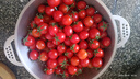 京鲜生山东红色圣女果净重4.5斤 小番茄西红柿水果蔬菜源头直发包邮 实拍图