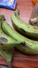 高山精品甜蕉现摘新鲜水果香蕉孕妇宝宝辅食搭配丫丫生鲜特产 1斤装【青蕉发货】 实拍图