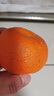 京地达浙江临海涌泉蜜桔新鲜水果橘子桔子重4.5斤单果65mm源头直发包邮 实拍图