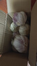 紫白皮蒜水果大蒜超市即食生鲜蔬菜大蒜 特价带箱 1斤 单果3.5-5cm 实拍图