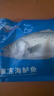 海名威 冷冻海鲈鱼850g/2条装 海鱼 生鲜鱼类 海鲜水产 年货节 实拍图