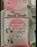 皇家幼猫猫粮 幼猫奶糕 K36 通用粮 4-12月 2KG 实拍图
