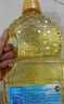 多力【张若昀同款】葵花籽油1.8L小瓶家用压榨零反式脂肪酸 实拍图